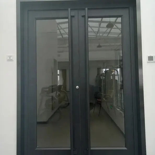 OEM UPVC 스테인리스 알루미늄 이중 스윙 문 KFC 문 1.2mm 두께